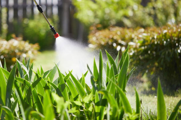 24/7 Emergency Wasp Removal experts in Sunrise, FL