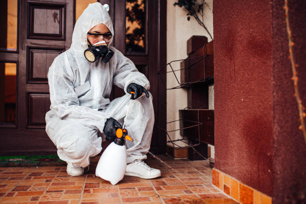 Reliable Wasp Removal contractor in Sunrise, FL by Show Me Pest Control
